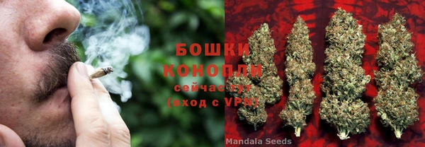 jwh Алзамай