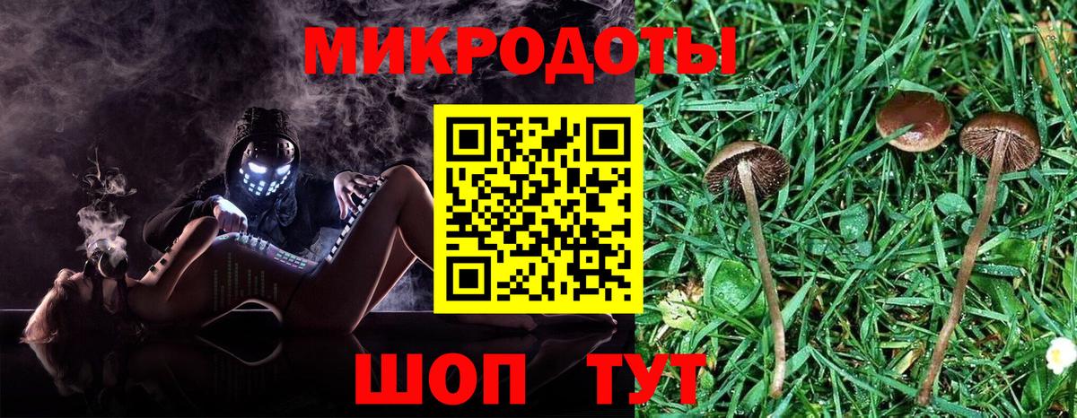 Люберцы  Псилоцибиновые грибы Cubensis  Галлюциногенные грибы Cubensis  Вход с VPN 